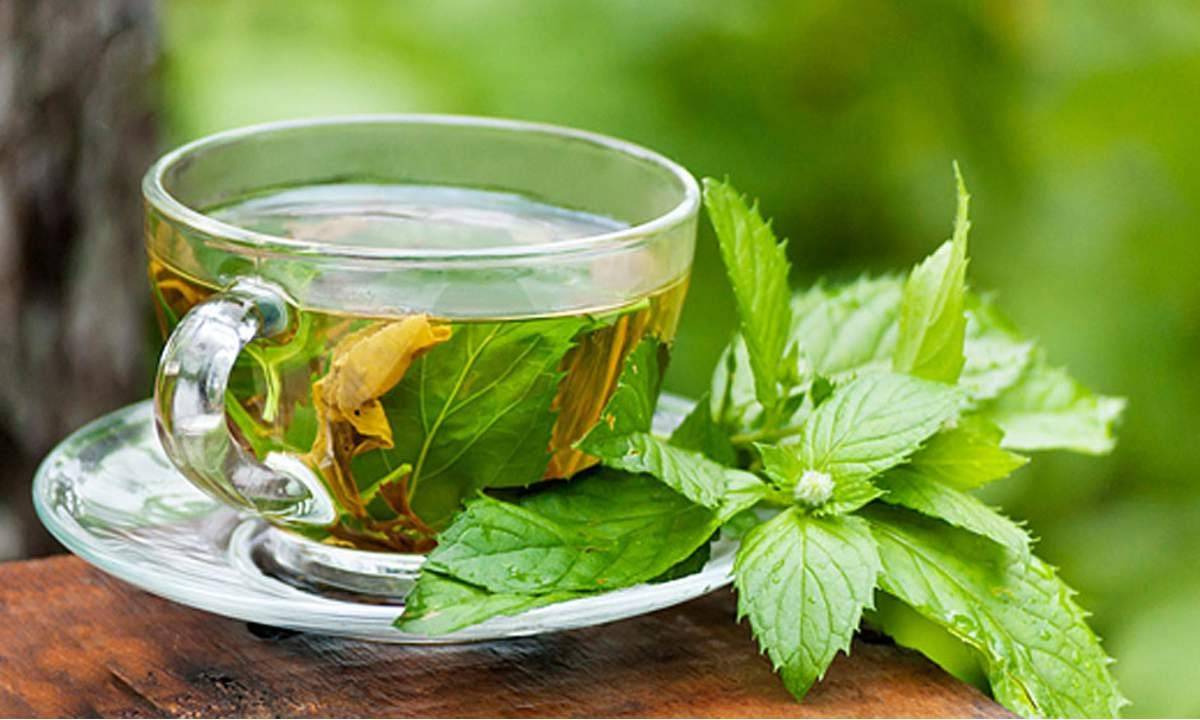 فوائد الشاي الأخضر الصحية للجسم والبشرة والآثار الجانبية له