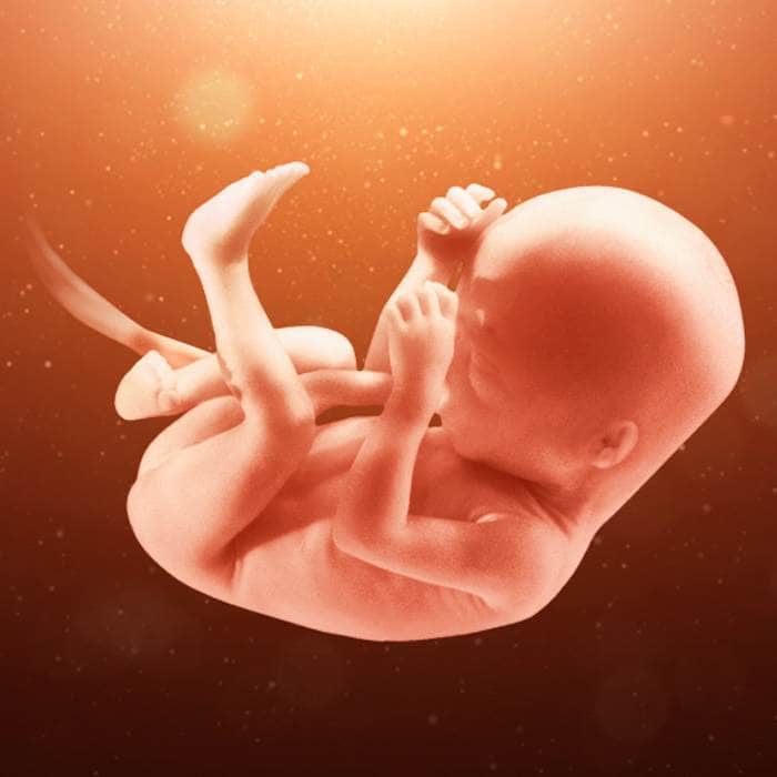 علامات الحمل في الاسبوع السابع وأهم التغيرات التي تطرأ على الجنين وعلى الحامل