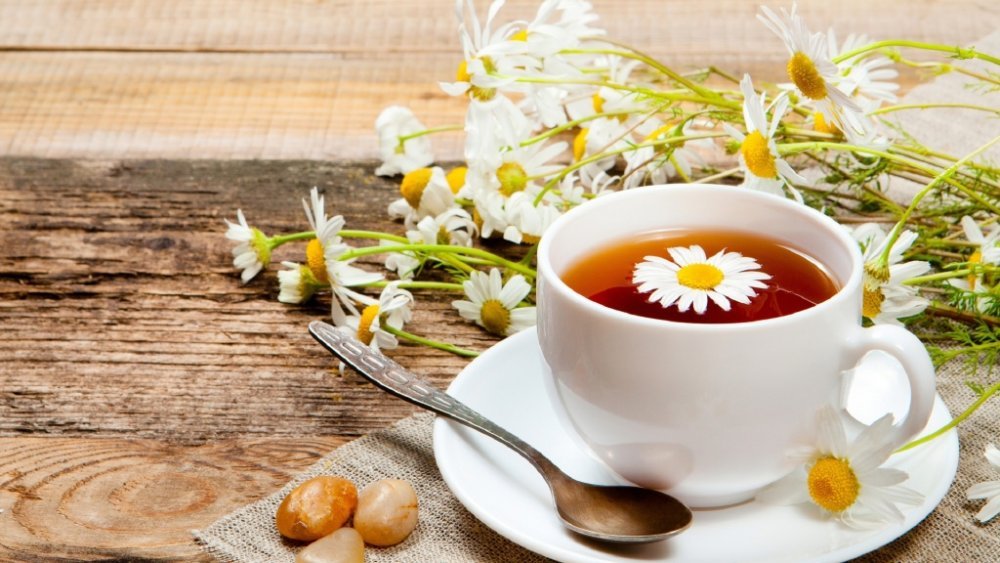 فوائد شاي البابونج الصحية 5 فوائد صحية للبابونج تعرف عليها الآن
