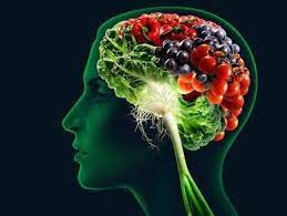 أفضل 6 أطعمة لتعزيز قوة الدماغ – موقع قناة المنار – لبنان
