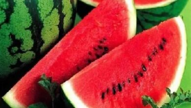 فوائد البطيخ الاحمر تعرف على أهم فوائد البطيخ الصحية